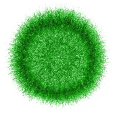 mold-molecule